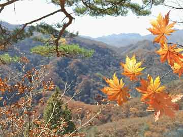 美國(guó)擴(kuò)心病的最新治療